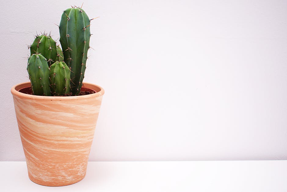 "How to Create a Vertical Garden in Your Living Room"